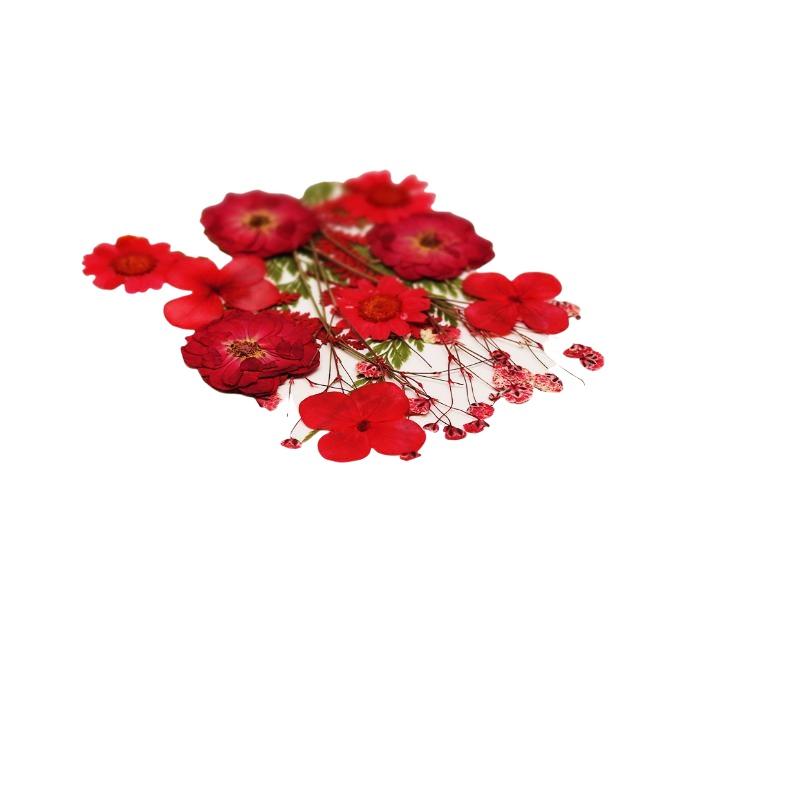 Real Natural Pressed Dried Pla - Resin Craft Ideas review and price