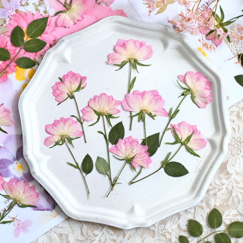 12pcs,Real Dried Pressed Flowe - Resin Craft Ideas review and price
